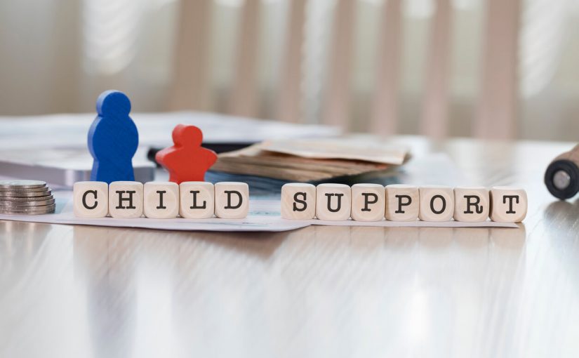 Child Support Investigator Resume Template